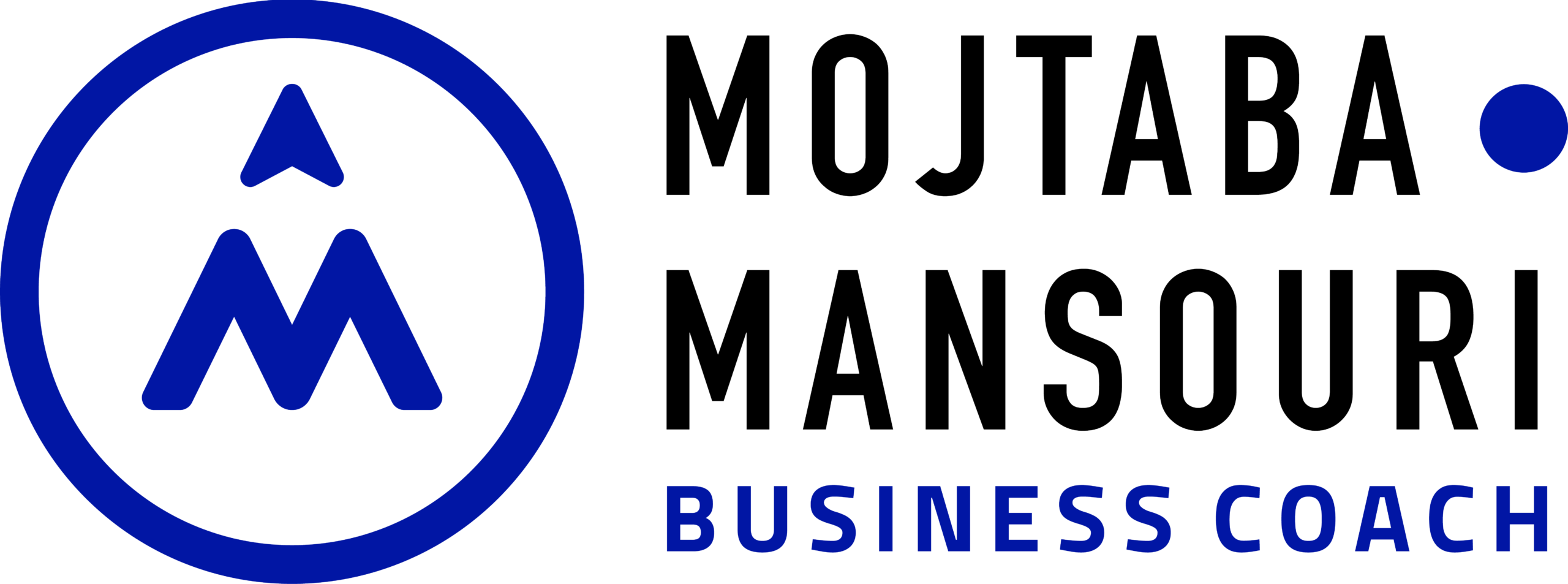 Mojtaba Mansouri Business Coach